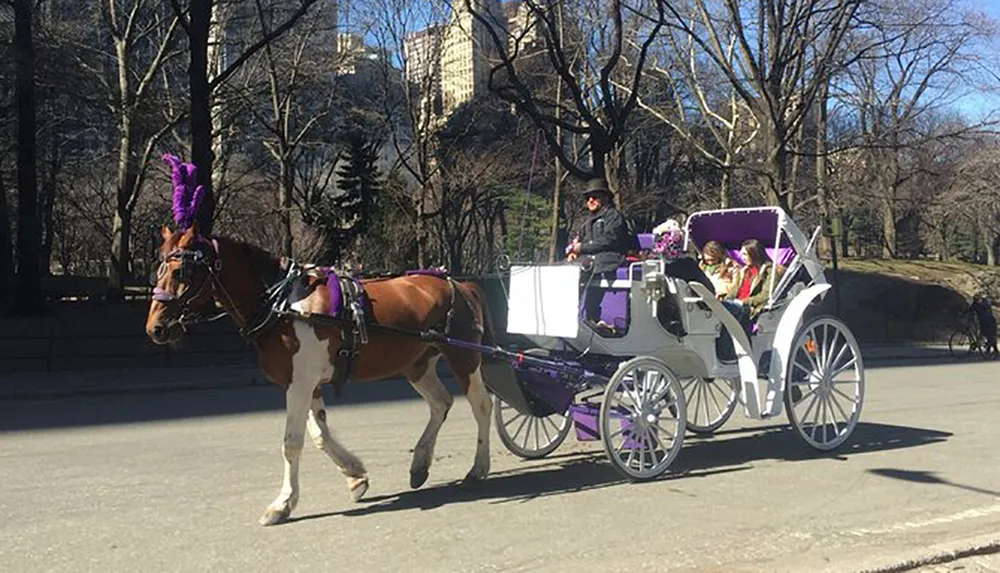 A horse-drawn carriage with purple accents carries passengers through a park-like setting with trees and buildings in the background