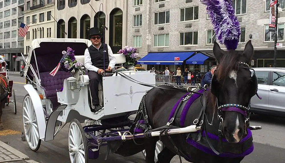 A person wearing a black hat sits atop a white horse-drawn carriage with purple adornments on the streets of a city