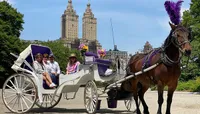 Horse Carriage Ride in Centra...