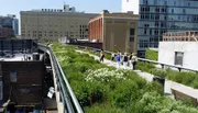 People are enjoying a walk through a landscaped urban park built on an elevated rail line amidst surrounding buildings.
