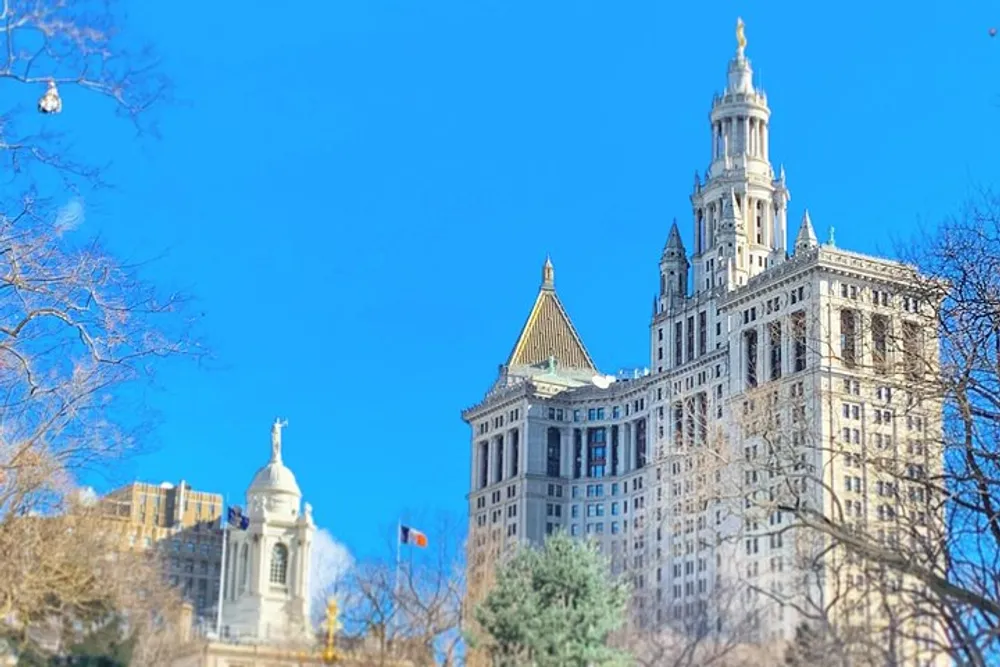 The image shows a clear blue sky with the upper portions of ornate historic buildings perhaps in an urban downtown setting with leafless trees indicating it might be winter or early spring