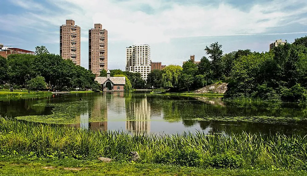 The image shows a tranquil urban park with a pond surrounded by greenery and modern high-rise buildings in the background under a partly cloudy sky