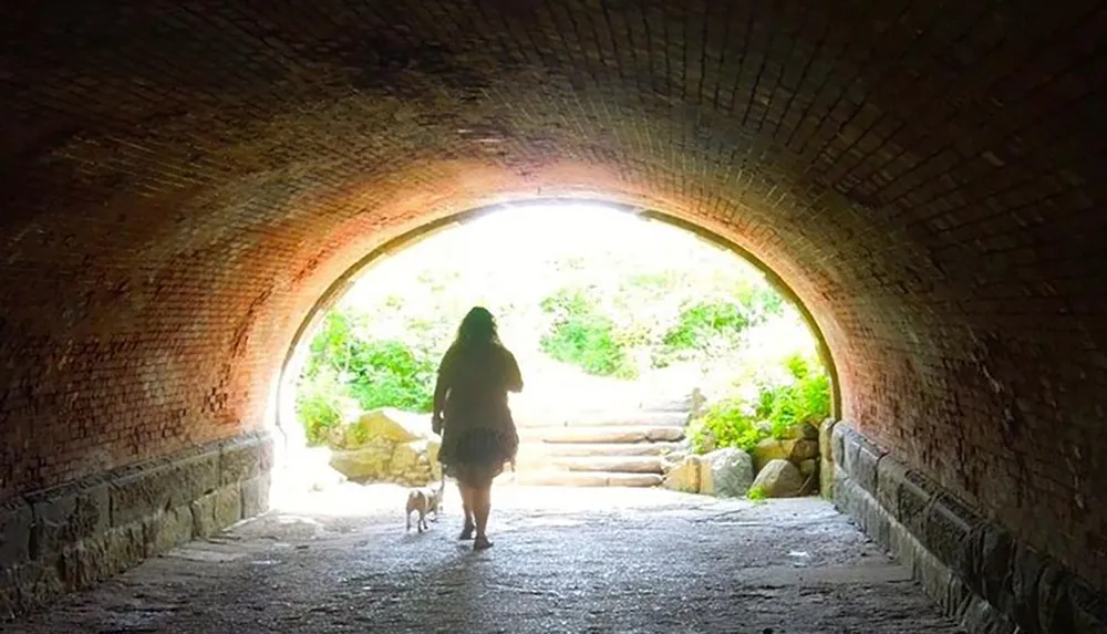 A person walking with a dog through a sunlit tunnel towards the outdoors