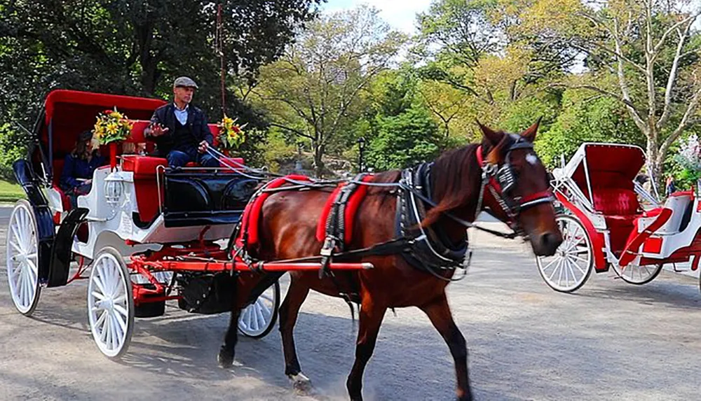 A horse-drawn carriage with a driver and passengers is traveling along a tree-lined path