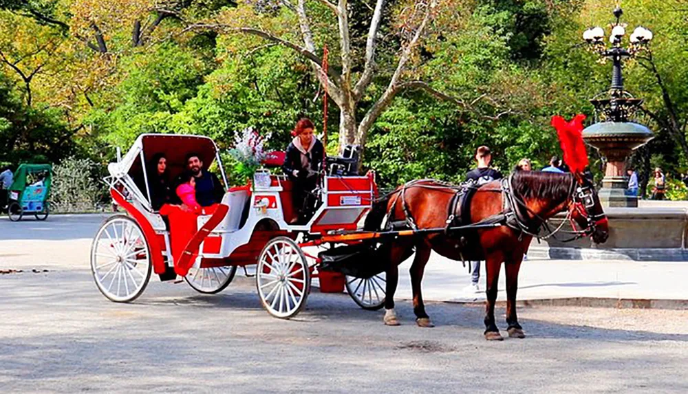 A horse-drawn carriage with passengers is being guided through what appears to be a park setting