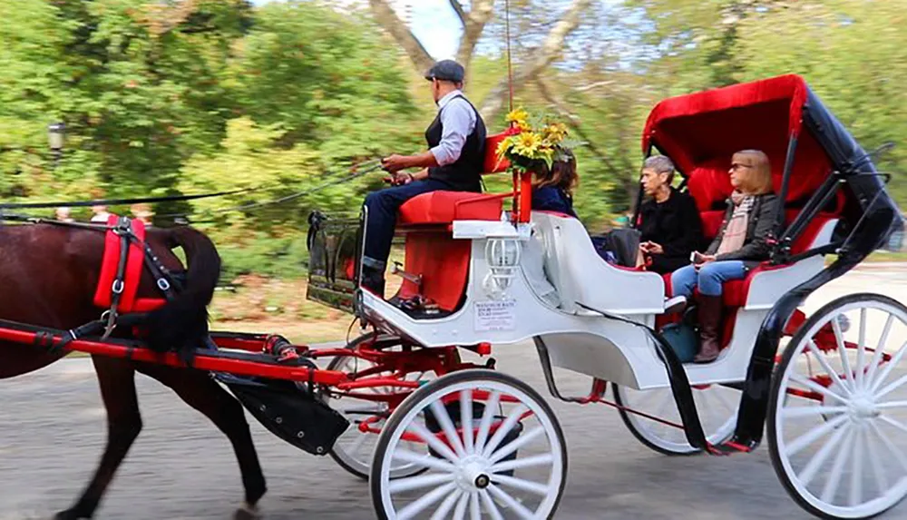 A horse-drawn carriage is transporting passengers with a driver at the helm on what appears to be a park road lined with trees