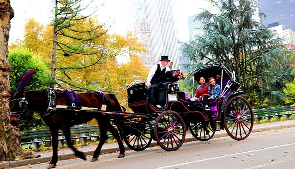 A horse-drawn carriage with passengers is being guided by a driver in formal attire along a park path bordered by autumn foliage with city buildings in the background