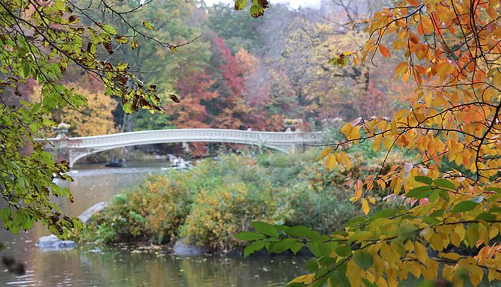 A serene autumn scene with a white bridge spanning across a river surrounded by trees with colorful fall foliage