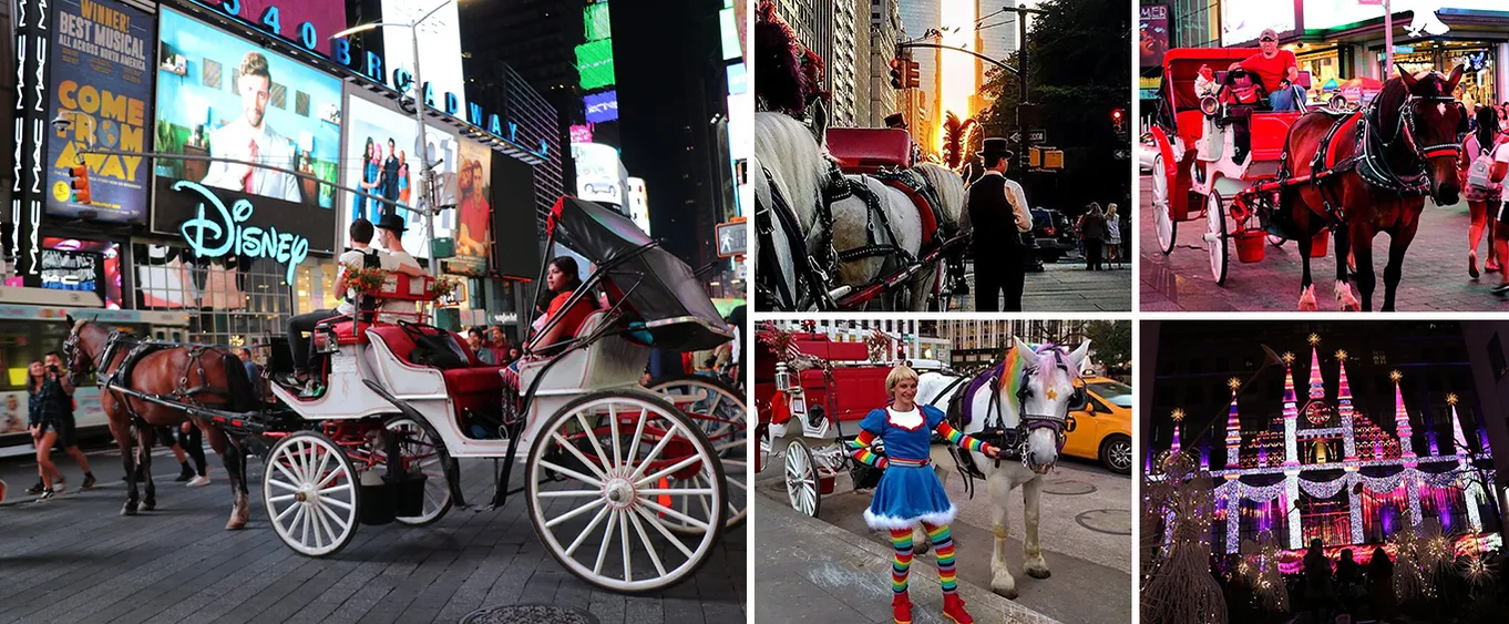 Times Square Horse Drawn Carriage Tour