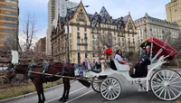 New York City Horse-Drawn Car...