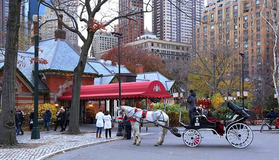 A horse-drawn carriage waits near a cozy-looking building with a red awning in an urban park with autumn foliage and skyscrapers in the background.