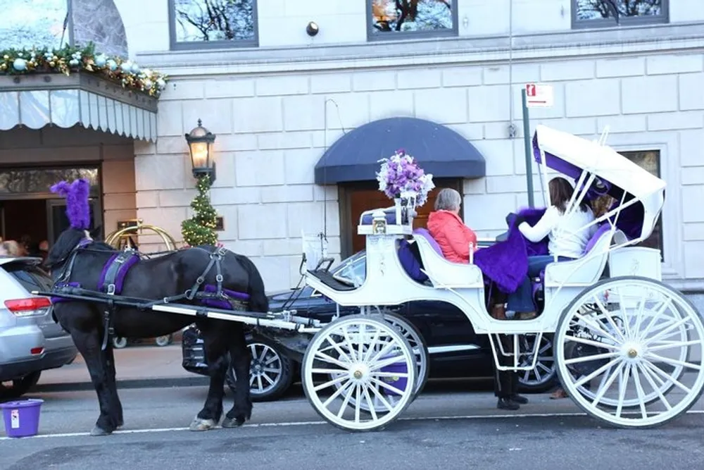 A horse-drawn carriage with purple decorations is parked beside a building with passengers seated inside