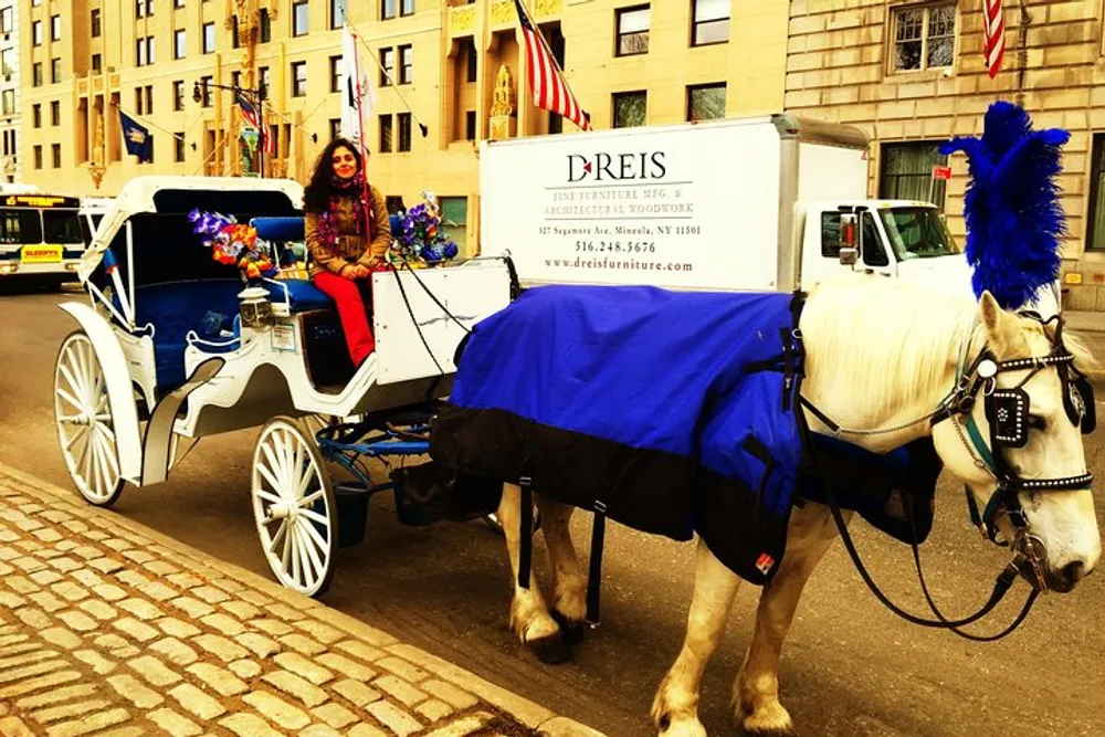 A person is sitting in an ornate horse-drawn carriage adorned with blue plumes and decorations on a city street