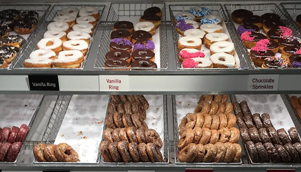 A variety of donuts including vanilla and chocolate-frosted ones with sprinkles are displayed for sale in a bakery case with labeled shelves