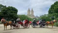 NYC Horse Carriage Rides in Central Park Photo