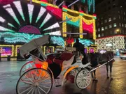 A horse-drawn carriage is pictured in front of an extravagantly illuminated building at night, suggesting a festive or holiday atmosphere in an urban setting.