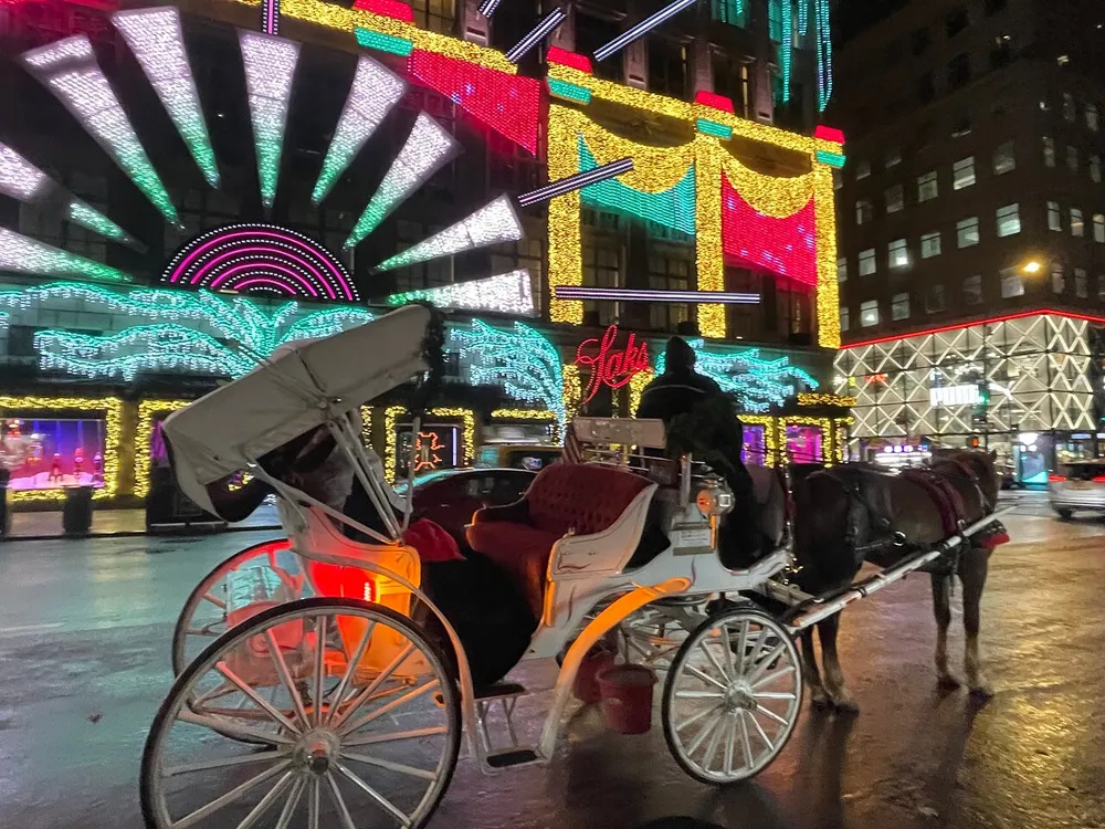 A horse-drawn carriage is pictured in front of an extravagantly illuminated building at night suggesting a festive or holiday atmosphere in an urban setting