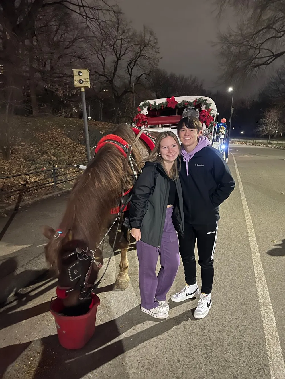 Two people are posing for a photo with a horse-drawn carriage decorated with Christmas adornments in the background during nighttime