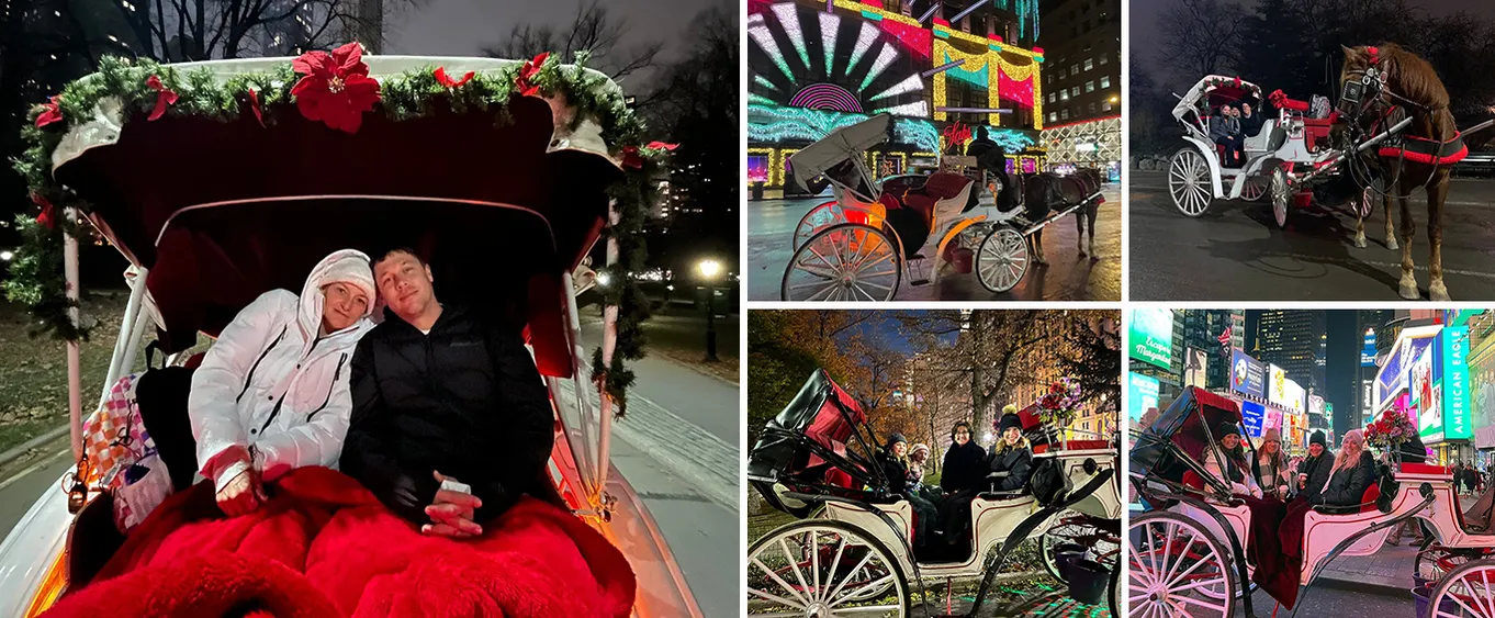 Private NYC Christmas Lights Horse Carriage Ride