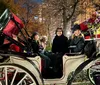 Four individuals are smiling for a photo while sitting in a horse-drawn carriage at night with urban trees and streetlights in the background