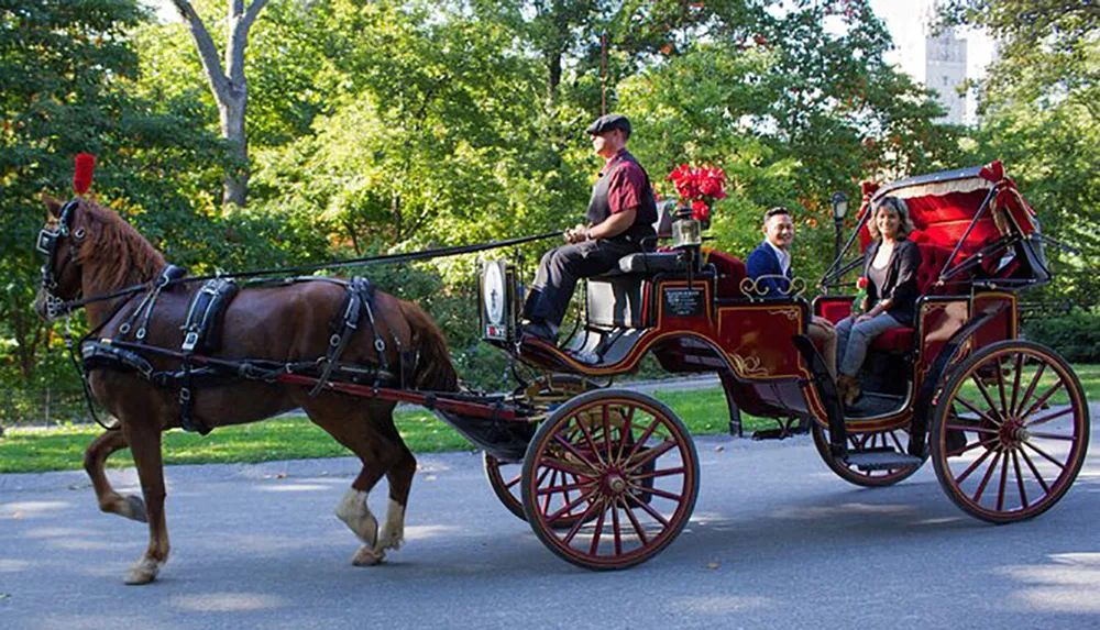 A horse-drawn carriage with passengers is being driven by a coachman through a leafy park