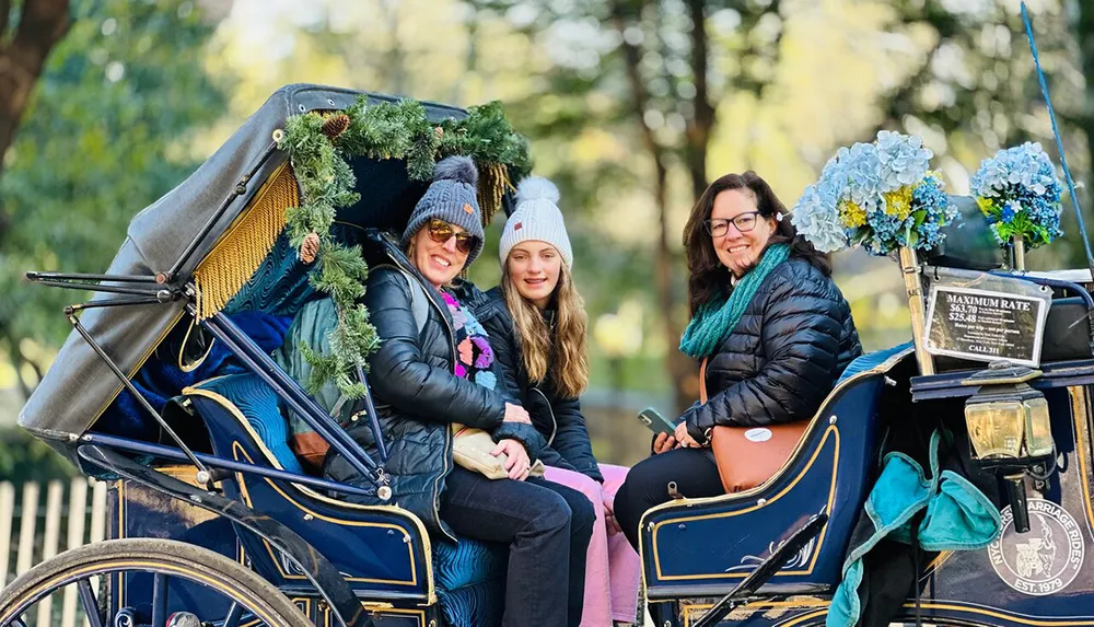 Three people are smiling while seated in a festively decorated horse-drawn carriage