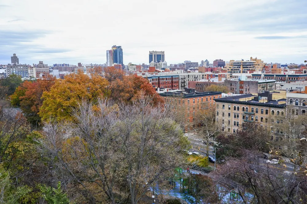 The image shows an aerial view of an urban area with colorful autumnal trees in the foreground and a mix of residential and commercial buildings in the background under an overcast sky