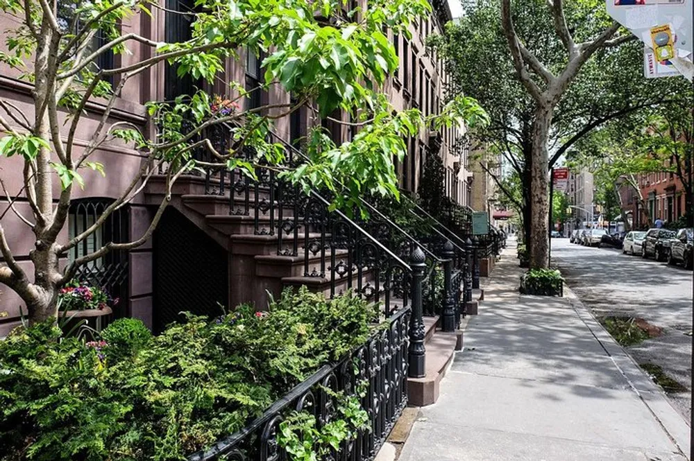 The image shows a tree-lined urban street with classic brownstone townhouses featuring stoops with wrought-iron railings lush greenery and a clear blue sky peeking through the foliage