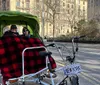 Two pedicabs carrying passengers are stationed side by side on an urban street with trees and a building in the background