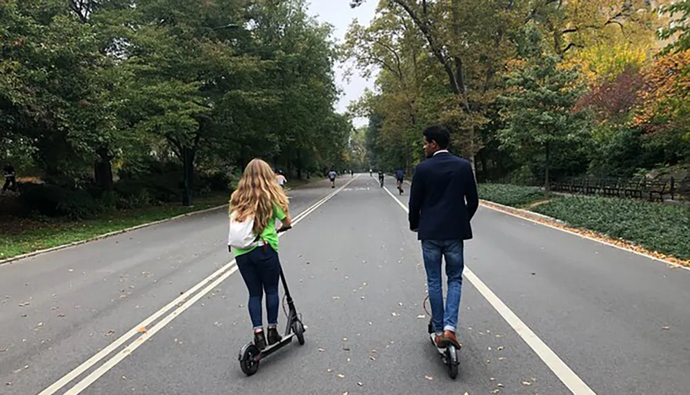 A man and a woman are riding electric scooters down a tree-lined park path with other park-goers visible in the distance