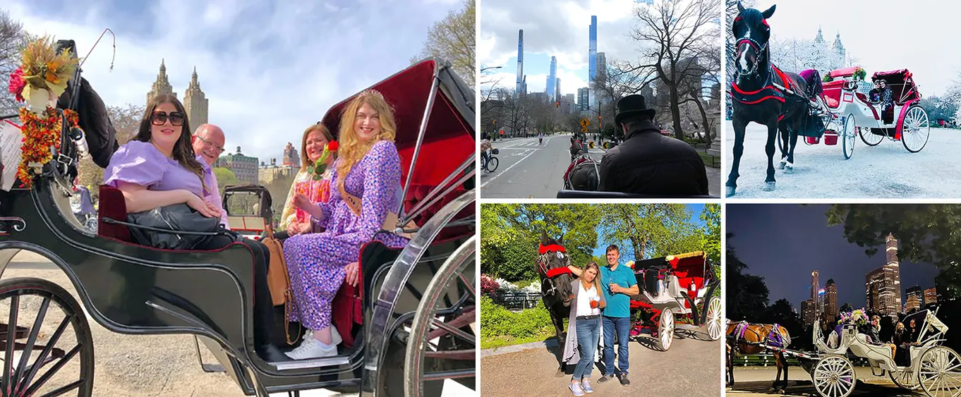 Horse & Carriage Ride Through Central Park, VIP Tour with Photo Stops (50min)