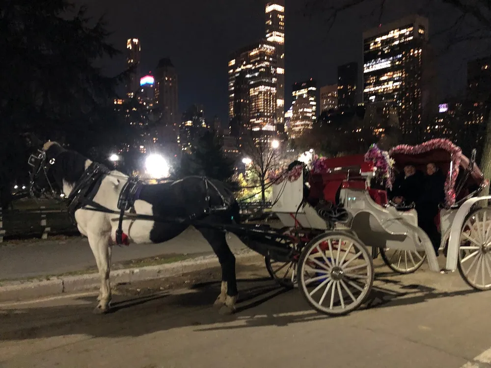 A horse-drawn carriage with passengers is parked against a backdrop of illuminated city buildings at night