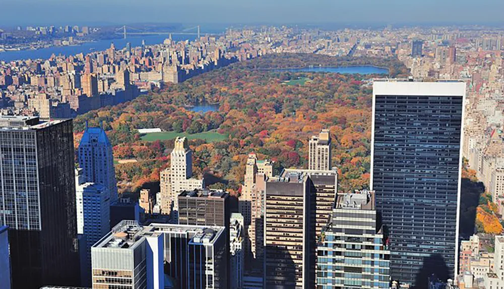 The image shows a high-angle view of Central Park in New York City surrounded by skyscrapers during autumn with the foliage displaying a variety of warm colors