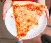A person is holding a plate with a large slice of cheese pizza