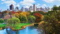 Central Park Guided Walking Tour with Picnic Lunch Photo