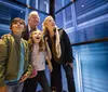 A family of four appears fascinated by something they are observing inside a glass elevator