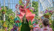 A person is photographing a vibrant botanical display featuring a mannequin dressed in large, flower-like attire inside a sunlit greenhouse.