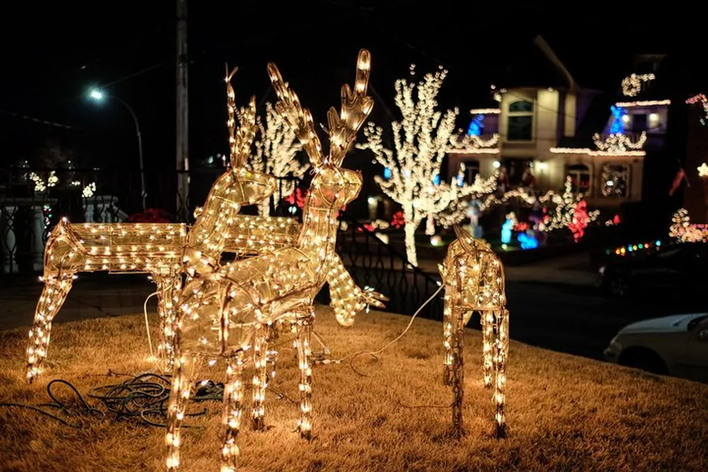 The image shows illuminated reindeer decorations glowing with white lights in a front yard at nighttime part of a festive outdoor Christmas display